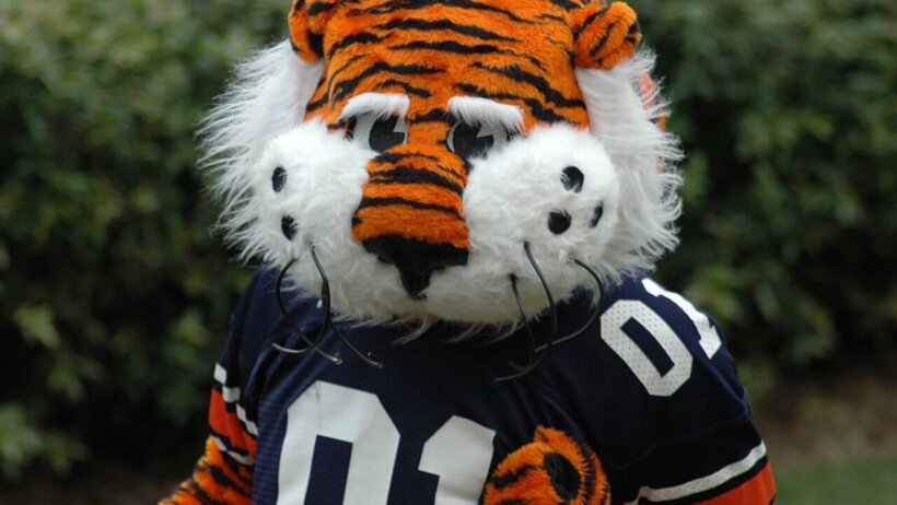 Aubie the Auburn Tiger