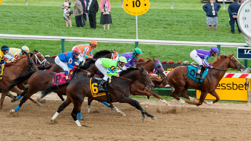 Preakness Stakes