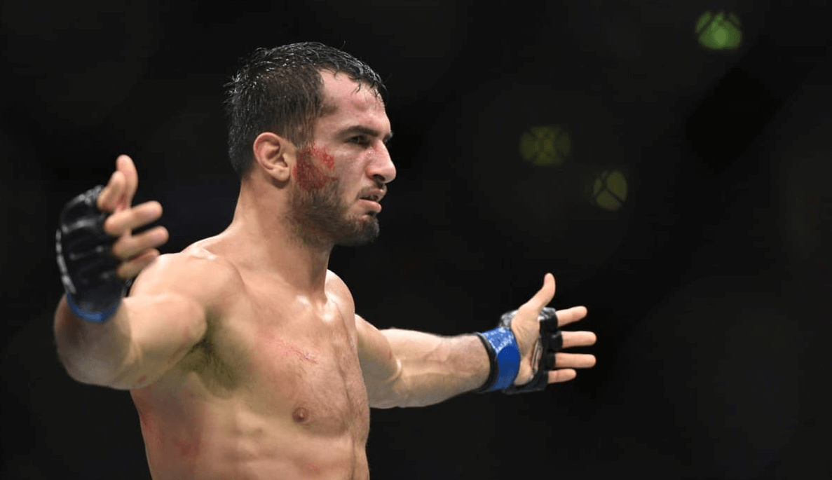 Gegard Mousasi