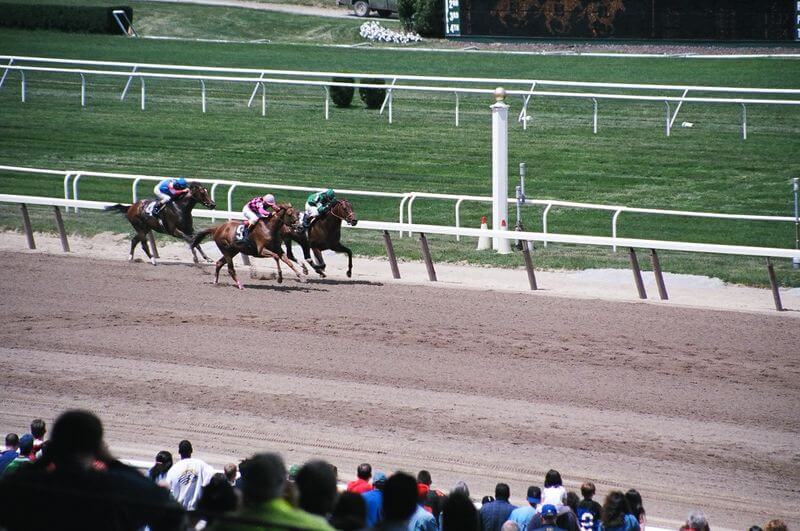 The Belmont Stakes