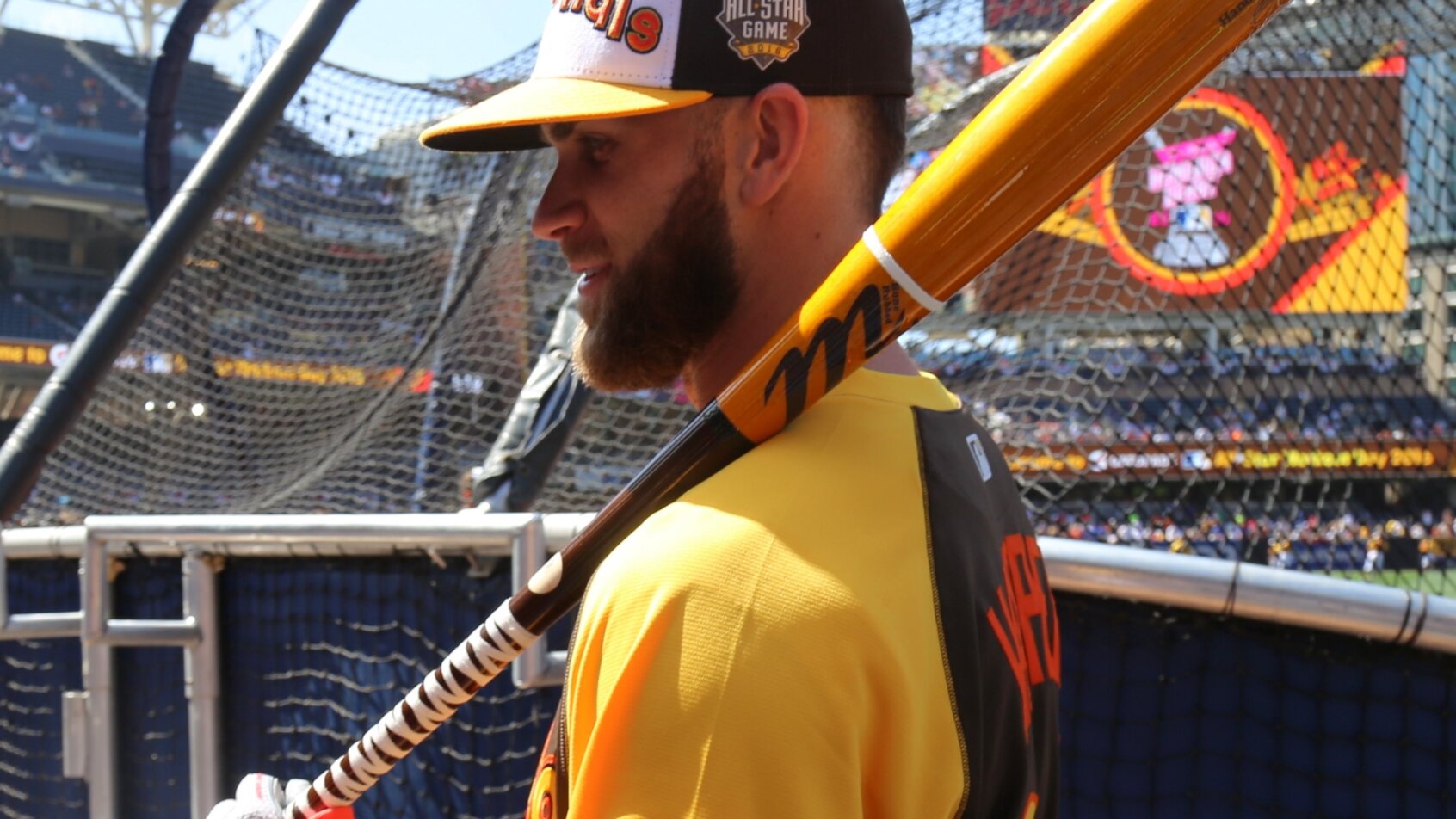 Bryce Harper