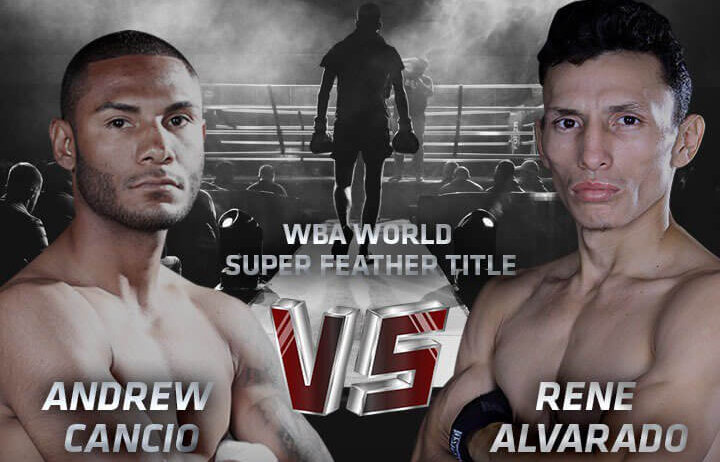 Cancio vs Alvarado II