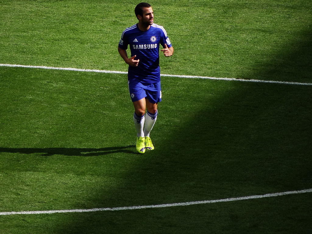 Cesc Fabrega, Chelsea
