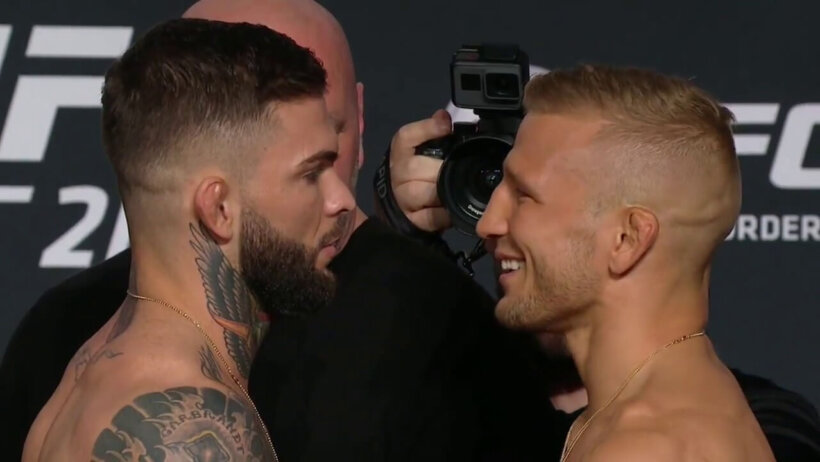 T.J. Dillashaw and Cody Garbrandt face each other for the second time at UFC 227.