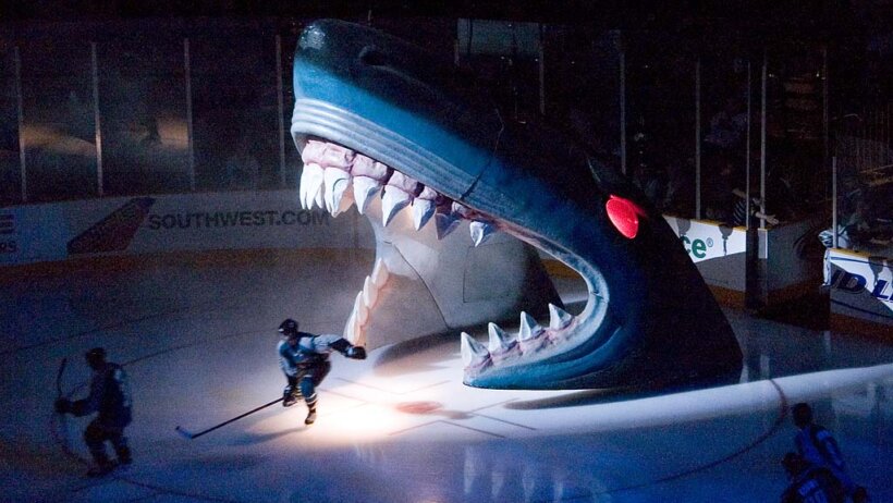 San Jose Sharks