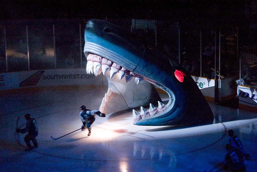 San Jose Sharks