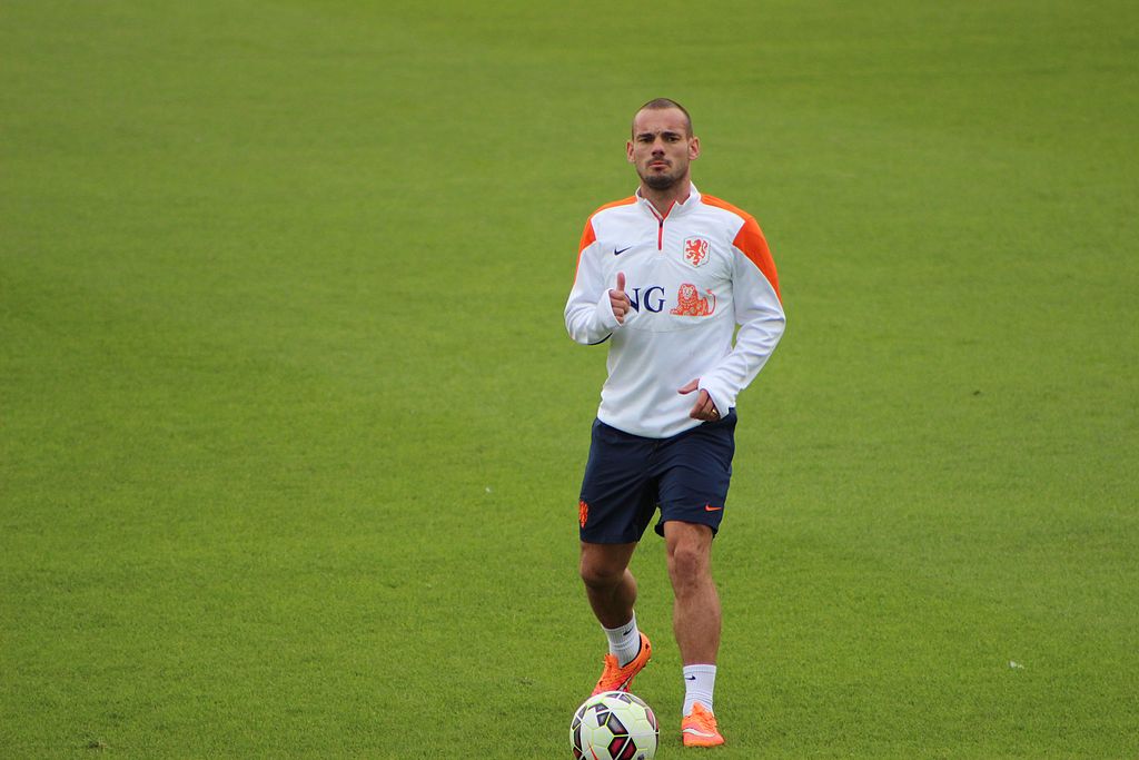 Wesley Sneijder, Netherlands