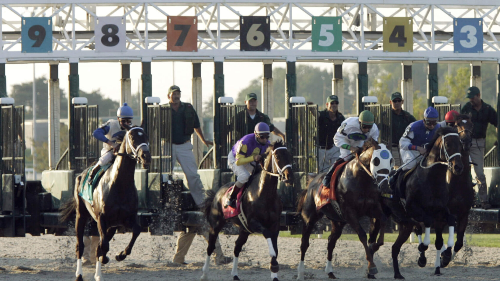 Jeff Ruby Stakes