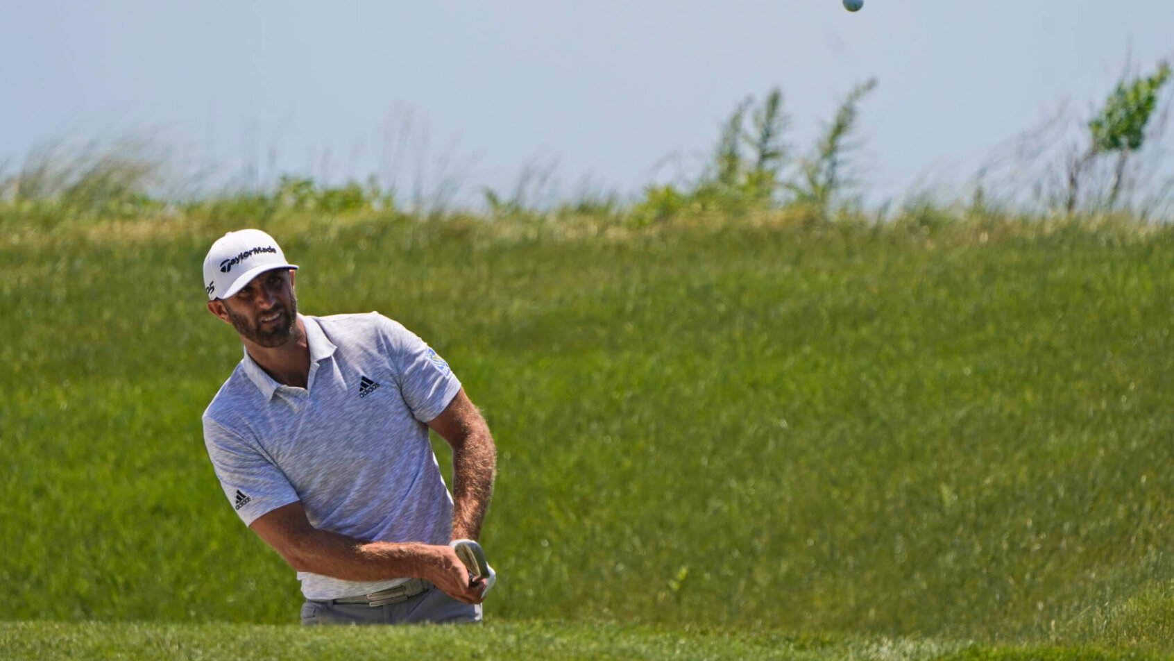 Dustin Johnson