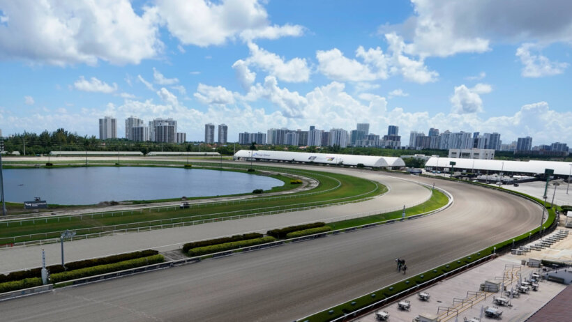 Fountain of Youth Stakes