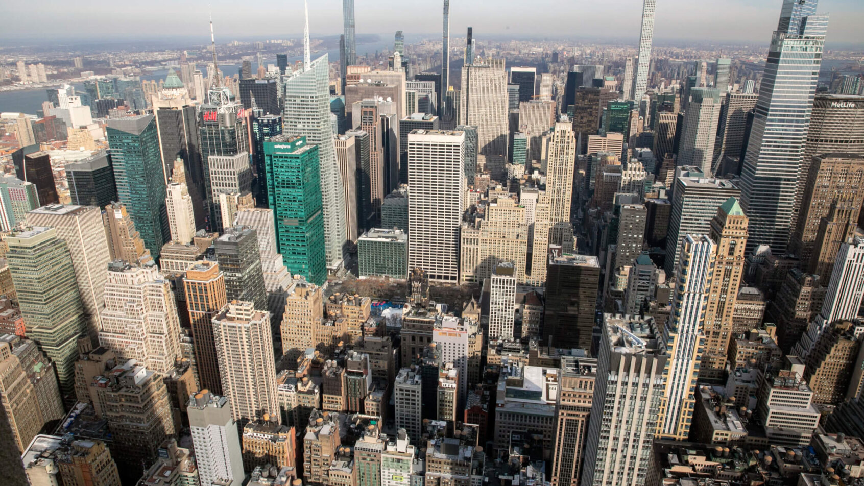 PointsBet New York promo code