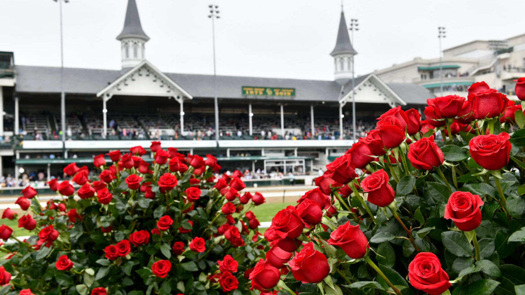 A view of roses from the infield with the twin spires in the background