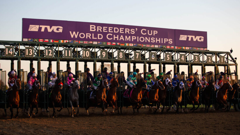 Breeders' Cup Juvenile race