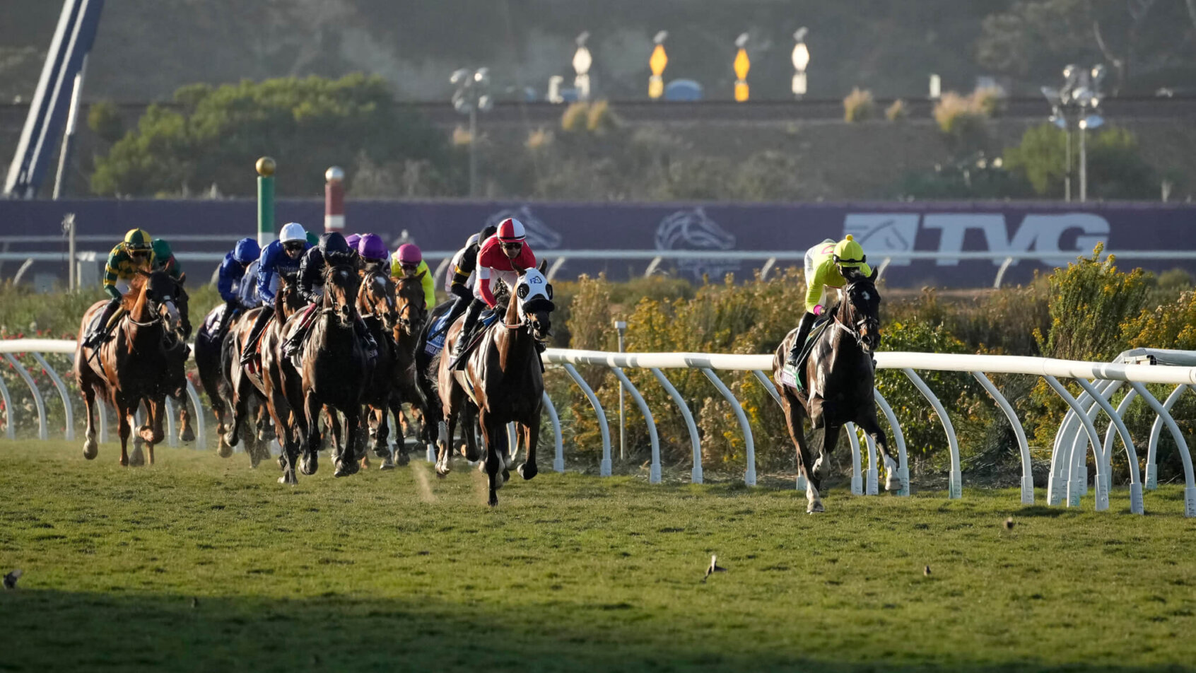 Del Mar Oaks