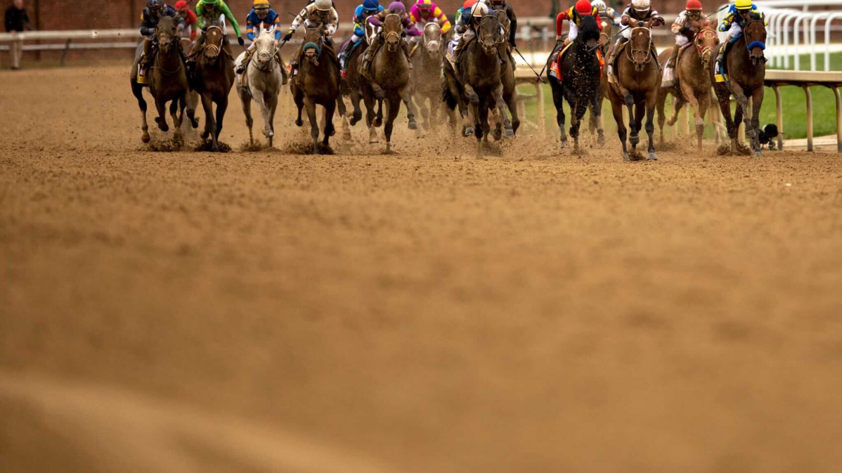 Preakness Stakes