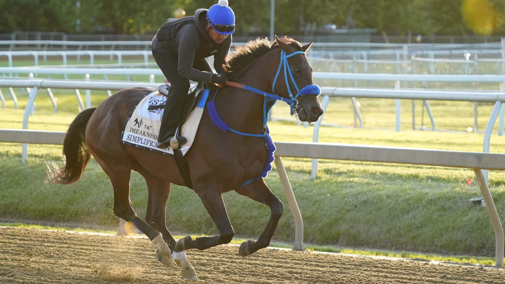 Preakness Stakes