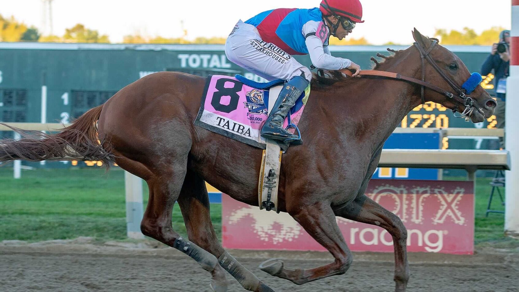 Taiba races at Parx Racing