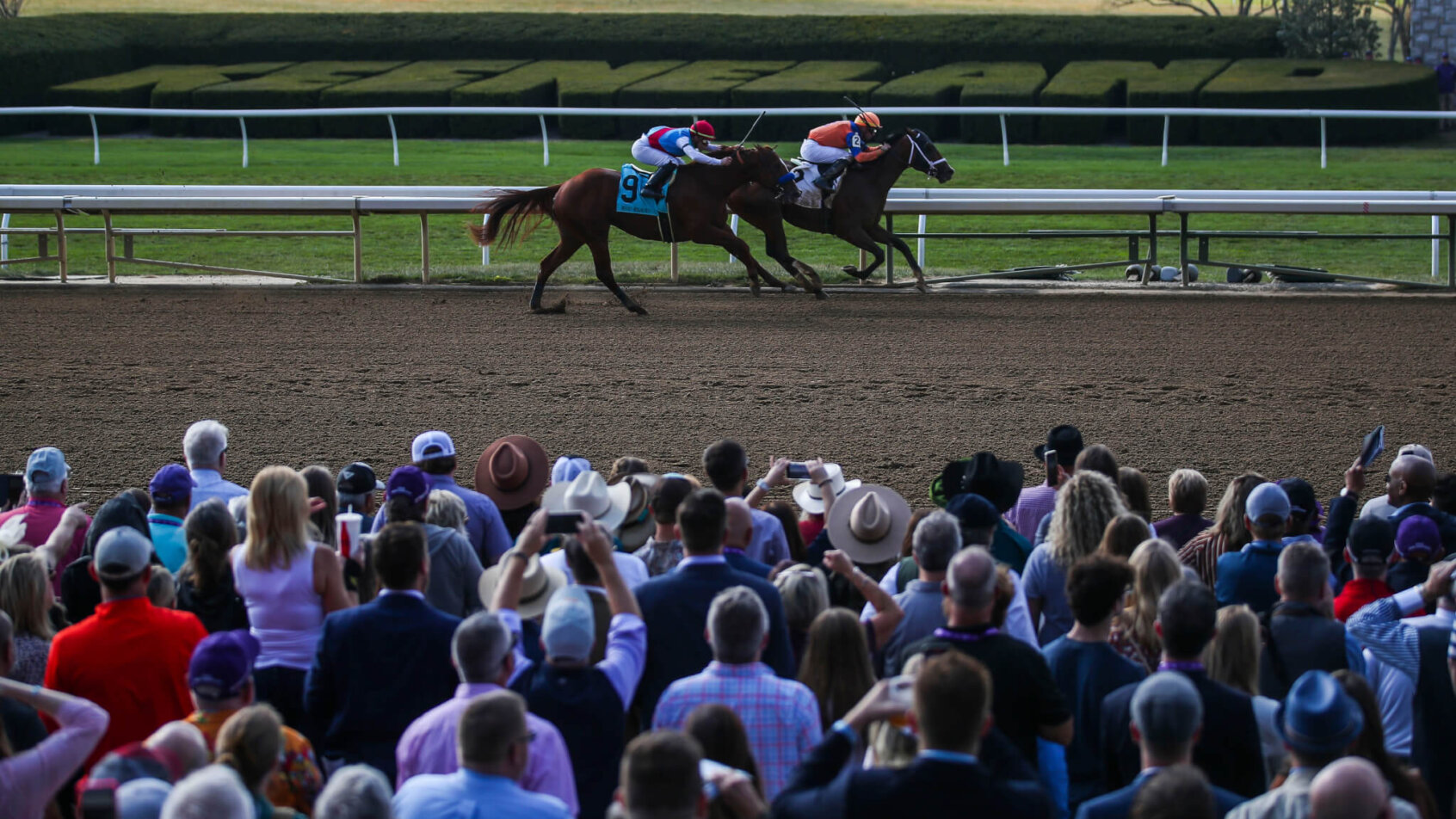 Giant Mischief racing