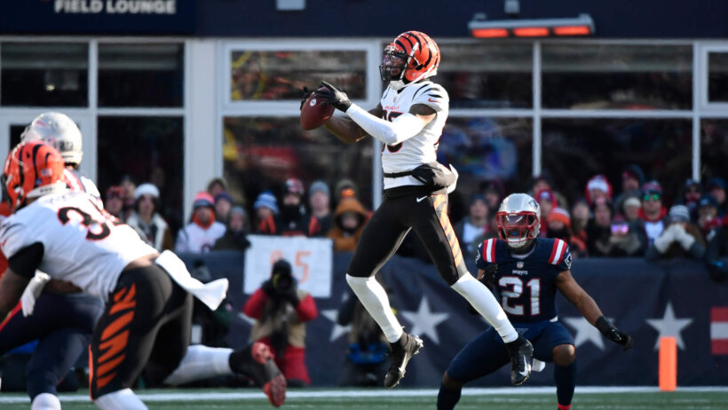 Cincinnati Bengals wide receiver Tee Higgins