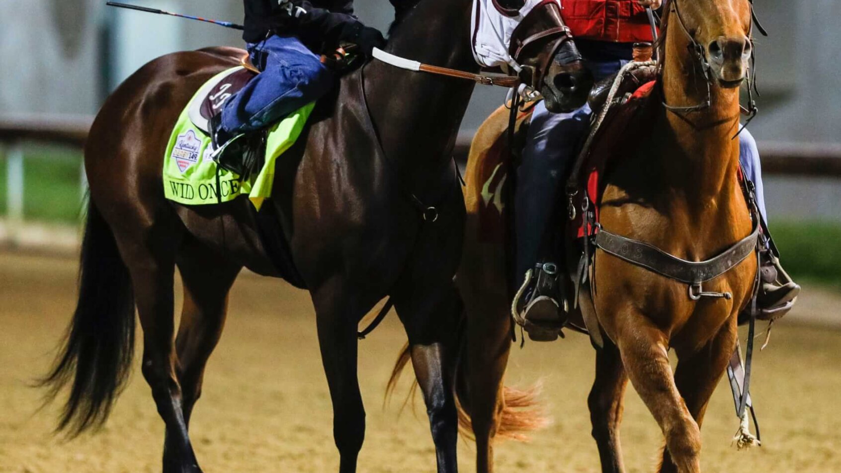 Kentucky Derby horse Wild On Ice.