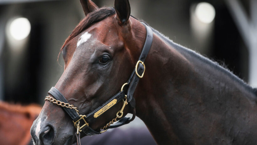 2023 Kentucky Derby