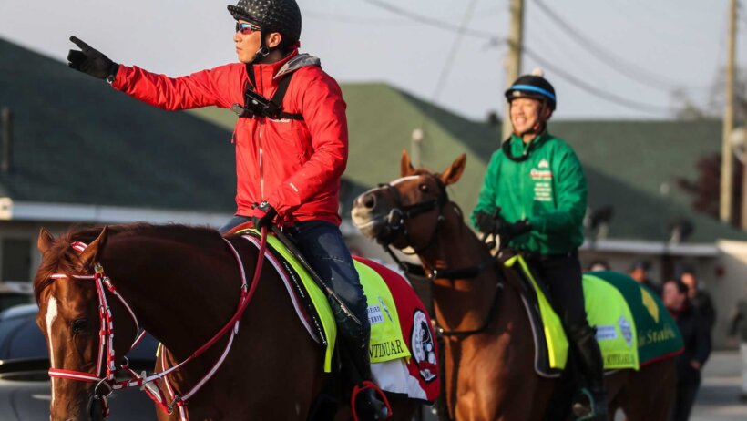 2023 Kentucky Derby horses warming up