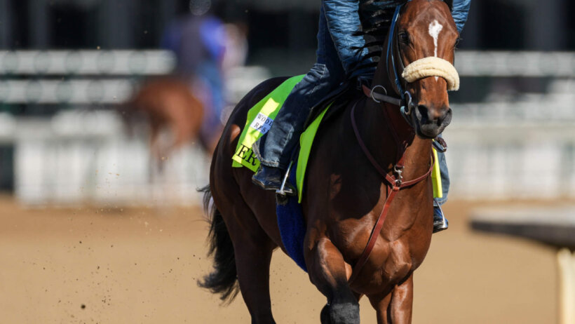 Kentucky Derby contender Skinner during a work out