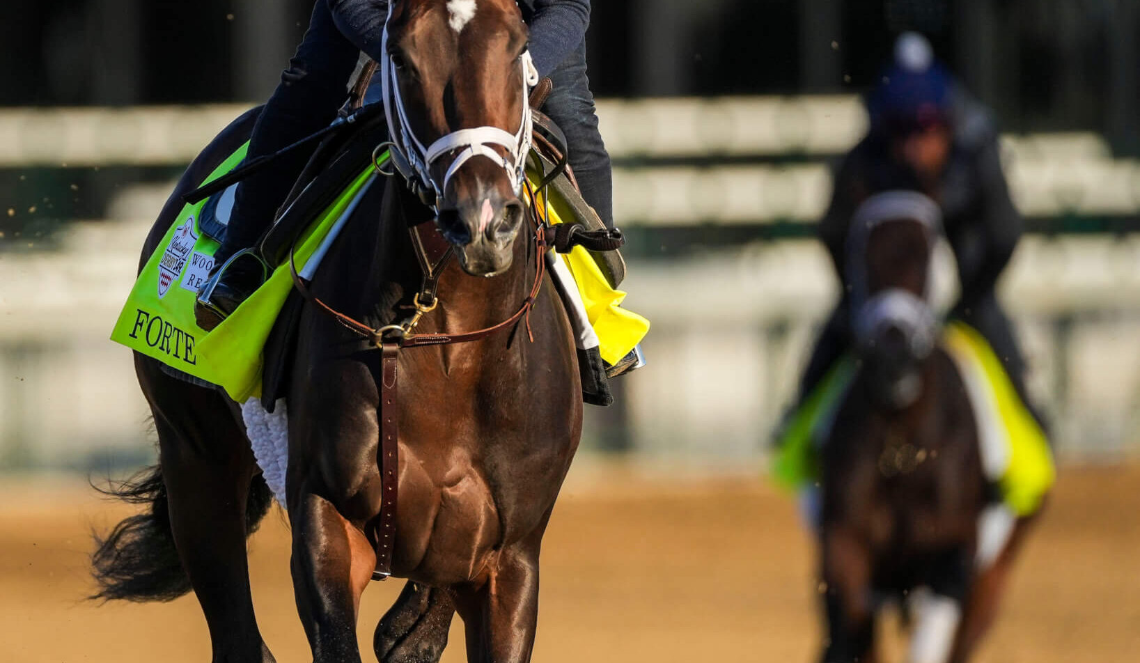 Kentucky Derby contender Forte and exercise rider Hector Ramos