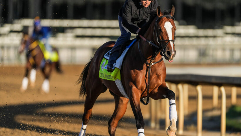Kentucky Derby alternate Cyclone Mischief works out