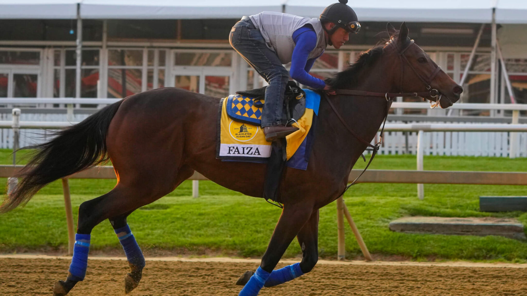 Black Eyed Susan Stakes contender Faiza trains