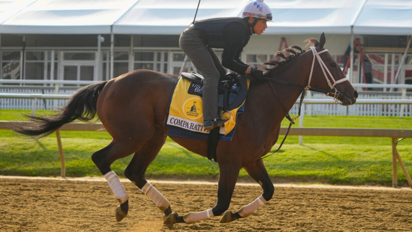 2023 Preakness Stakes horse Black Eyed Susan .
