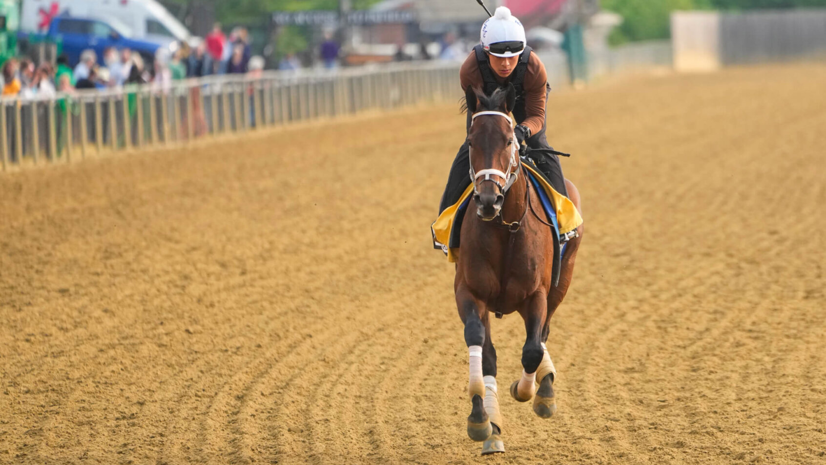 2023 Preakness Stakes training.