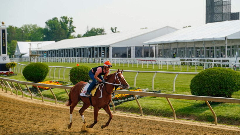 Preakness Stakes contender Mage trains Wednesday morning at Pimlico Race Track.