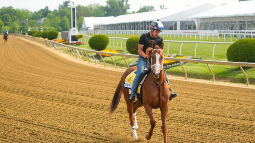 Black Eyed Susan Stakes contender Towhead trains Wednesday morning at Pimlico Race Track