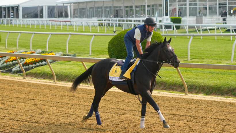 Black Eyed Susan Stakes contender