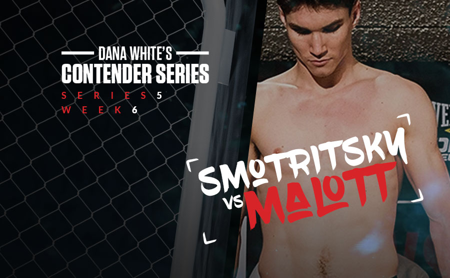 DWCS Week 6