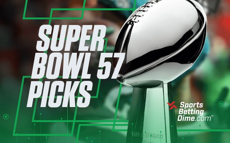 Super Bowl picks