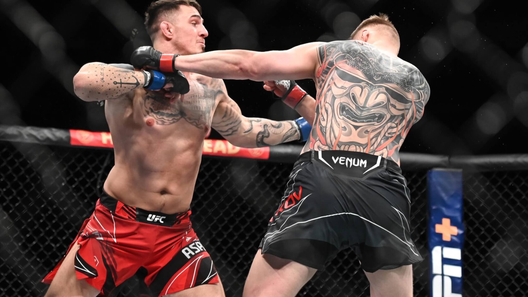 Alexander Volkov fighting Tom Aspinall