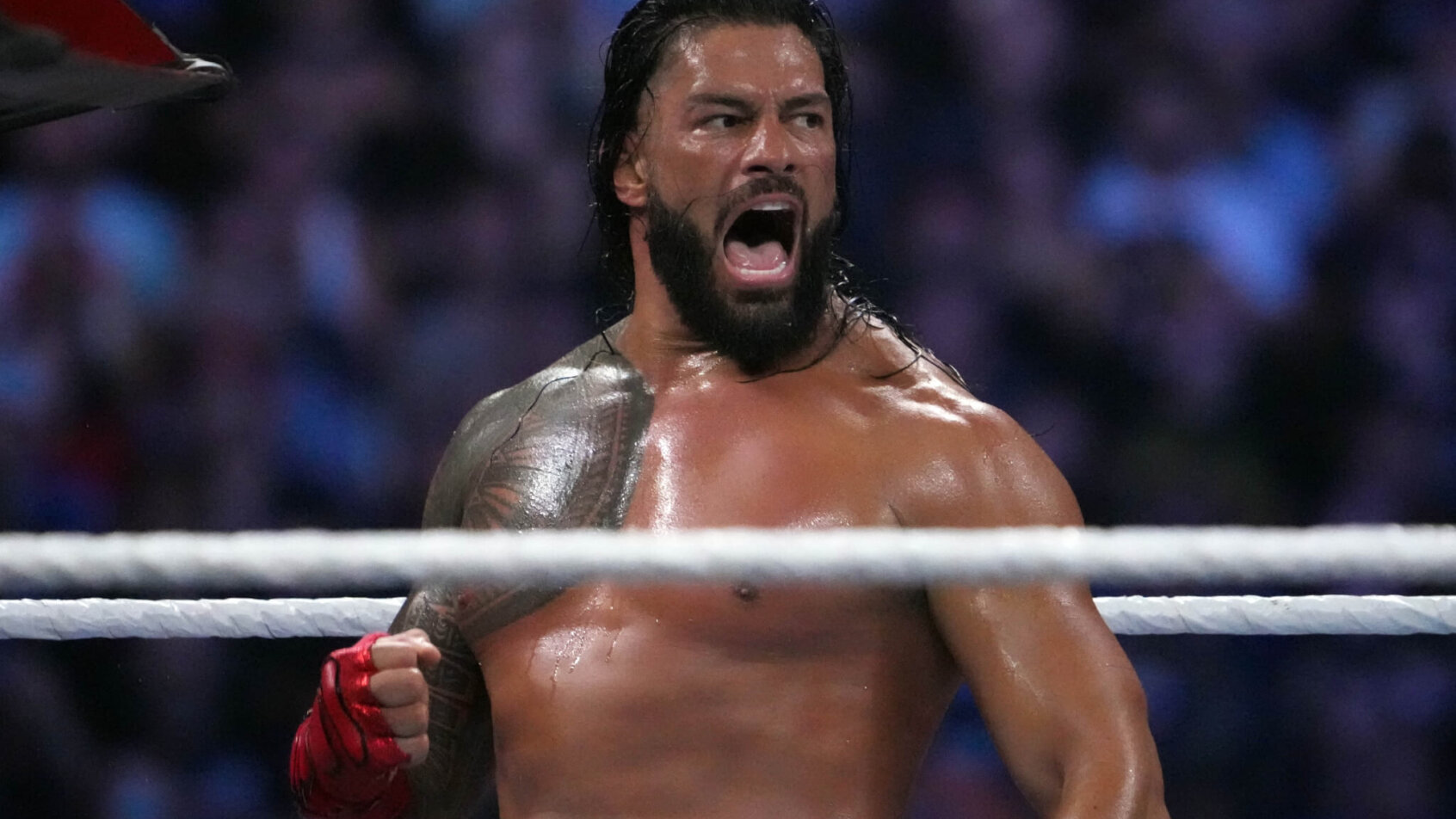 Roman Reigns during WWE SummerSlam