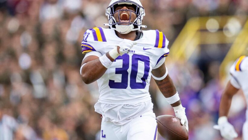 LSU linebacker Greg Penn III celebrates after an interception