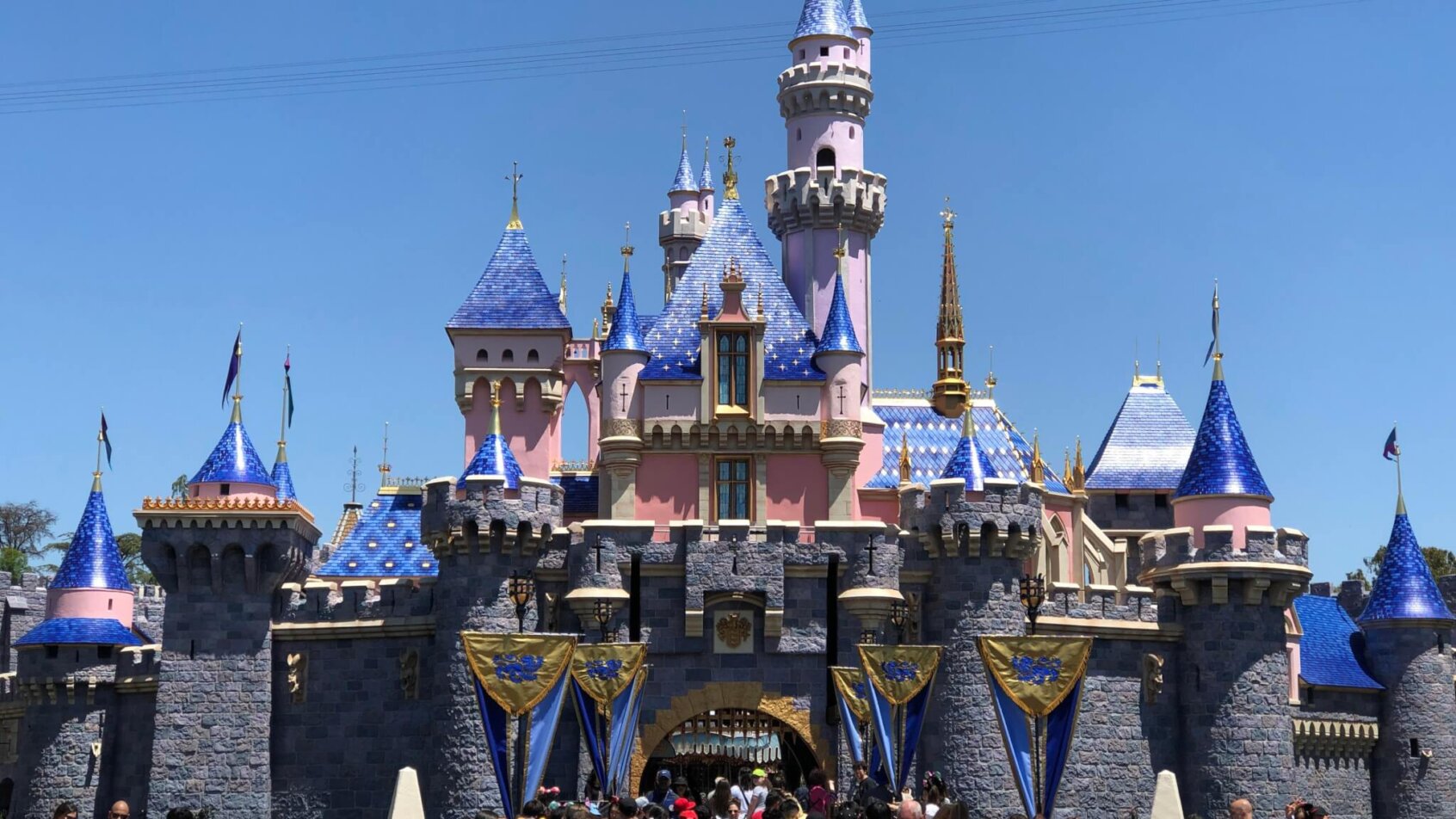 Sleeping Beauty's Castle