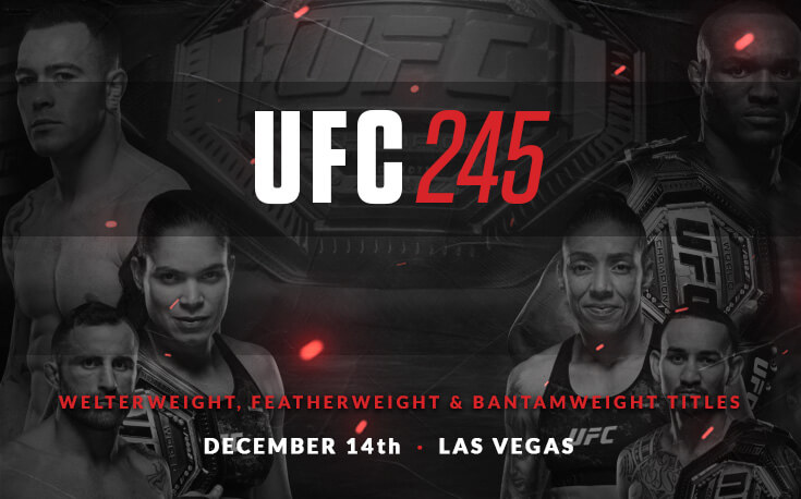 UFC 245 promotional poster