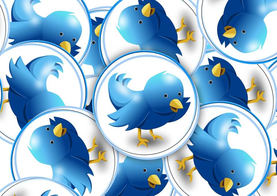 Twitter Logo