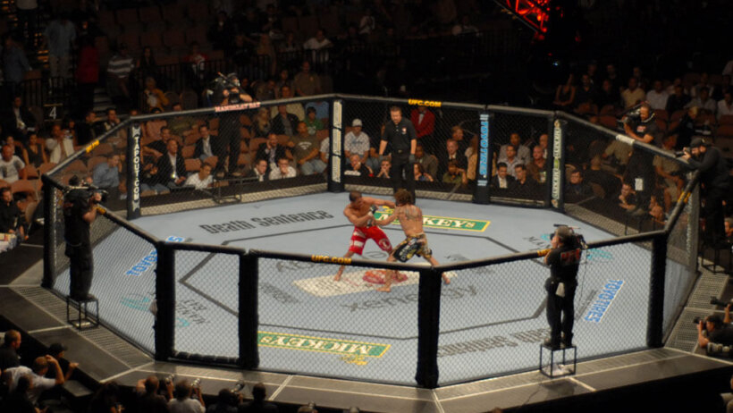 UFC Fight Night