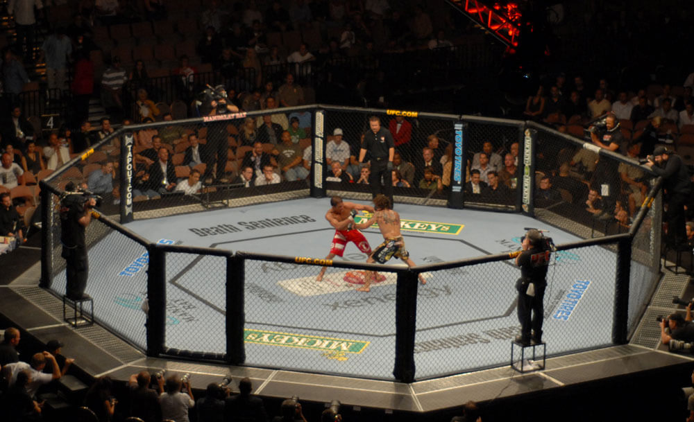 UFC Fight Night